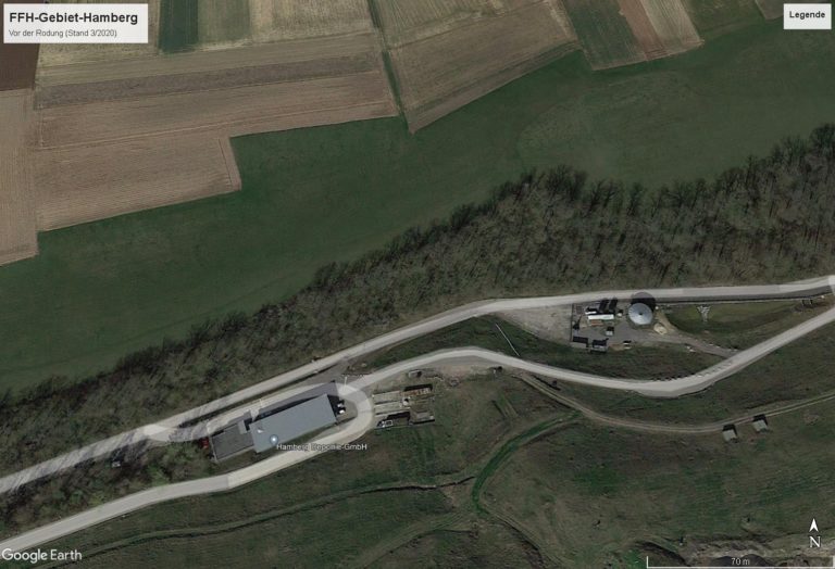 Satellitenbild FFH-Gebiet Hamberg vor der Rodung (Quelle Google Earth Pro)