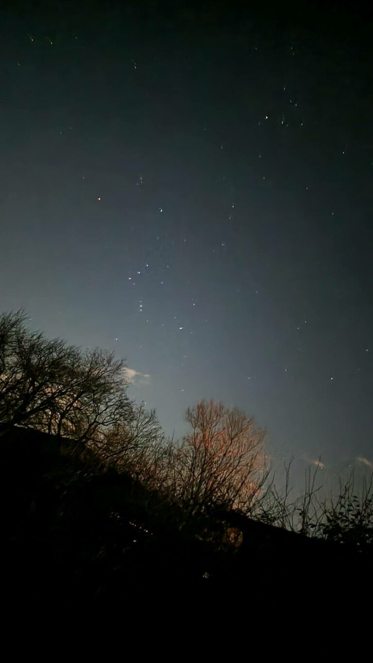 Sternbild Orion auf dem Weg nach Zaisersweiher